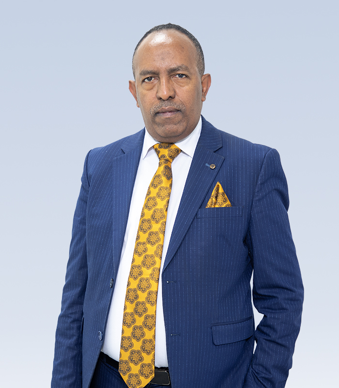 Mengistu Hailu